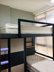 The MKZ (D9), Apartment #548800301